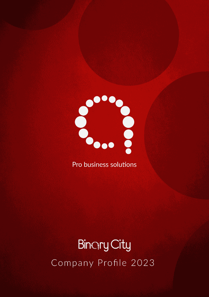 Binary City company profile 2023