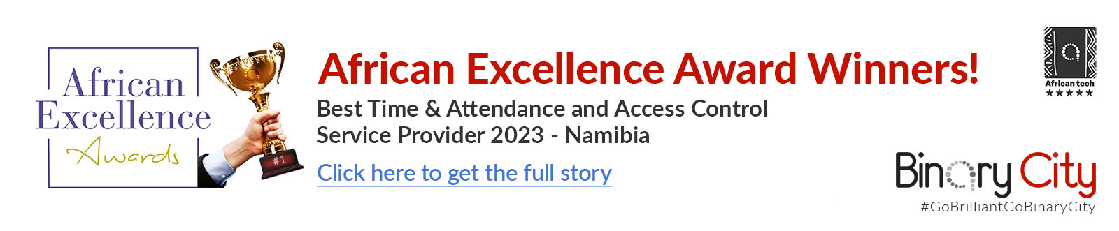 African excellence award winner for best time and attendance and access control
